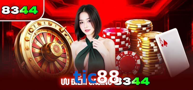 Khái quát về Casino tic88 cho tân binh